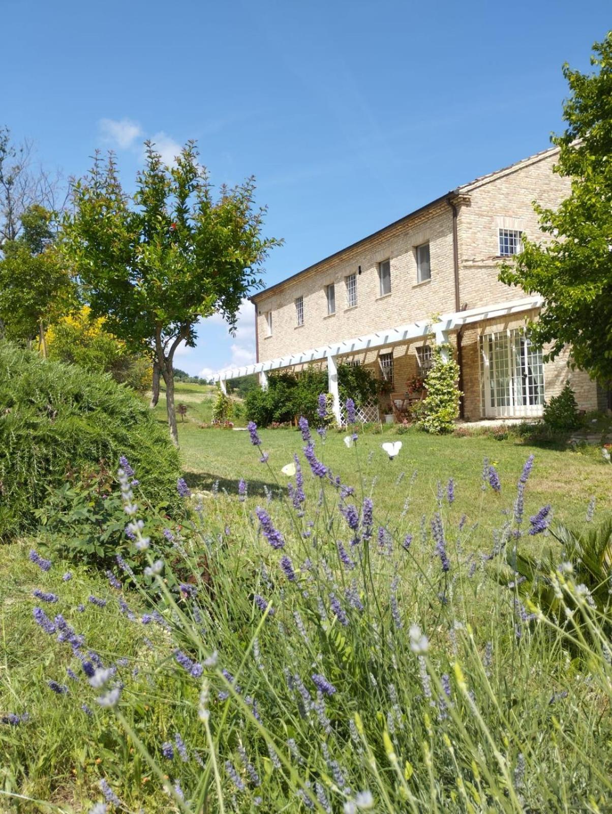Il Giardino Nella Valle Belvedere Ostrense Zimmer foto